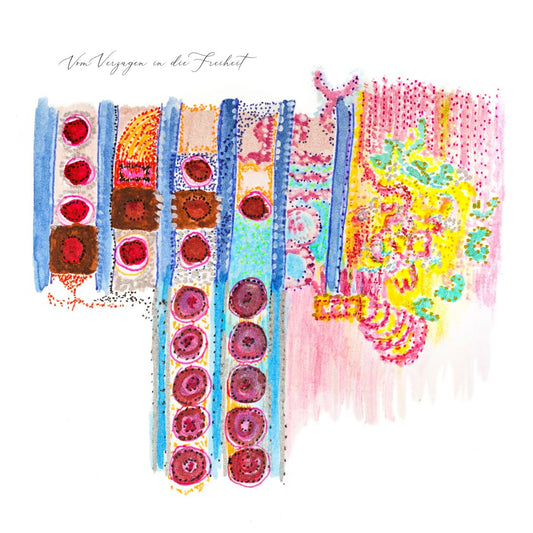 Vom Verzagen in die Freiheit